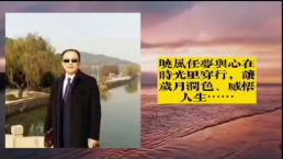 Yearning for Shenying